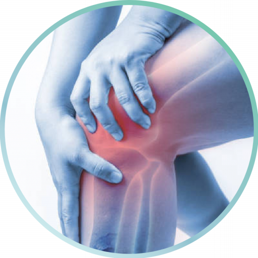 Orto Kinesio